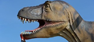 Dino-Ausstellung in Brandenburg: Jurassic Mark