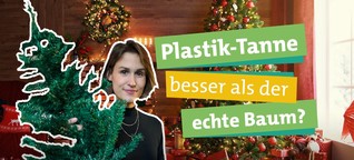SWR Ökochecker "Grüne" Weihnachten: Baum aus Plastik nachhaltiger als echte Tanne?