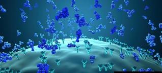 Antikörper-Therapie: Ein vielversprechender Ansatz mit Tücken