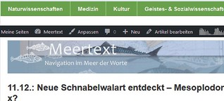 11.12.: Neue Schnabelwalart entdeckt - Mesoplodon x?