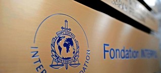 Des membres de la Fondation Interpol sont des adeptes des paradis fiscaux
