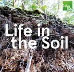 Life in the Soil Podcast