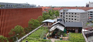 Ein Herz für Grünes: Umweltfreundlicher Urlaub in Kopenhagen