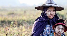 Farming changes in Myanmar