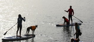 Kapitän mit Fell an Board: Leipzigerin gibt Kurse im Stand-up-Paddling mit Hund