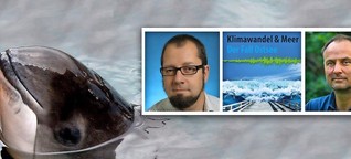 Die bedrohten Stars der Ostsee: Wie Schweinswale den Klimawandel erleben