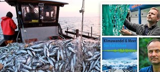 Zwischen Klimawandel und Fischerei: Ostseefische unter doppeltem Druck