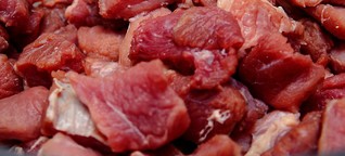Plattform will Mängel in Fleischbetrieben transparenter machen