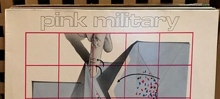 30 records in 30 days from 2 collections from one household, day 18: Pink Military, Do Animals Believe In God?