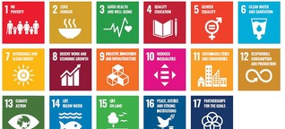 Die Sustainable Development Goals (SDGs) in Österreich