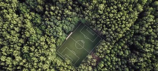 Was Klubs der Fußball-Bundesliga für die Umwelt tun - und was Umweltschützer vermissen
