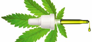 Cannabis soll im Kampf gegen Corona helfen