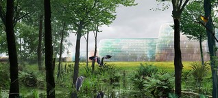 Berliner Architektin: „Das Tempelhofer Feld als Naturreservat - warum nicht?"