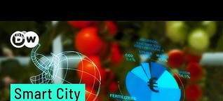 Smart City: How Can We Feed 10 Billion People? | Future Smart City Projects | Urban Farming