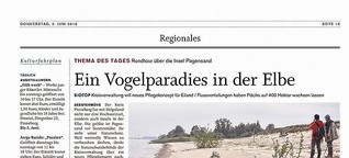 Einsame Insel Pagensand:
Vogelparadies in der Elbe