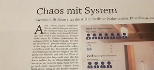 Chaos mit System