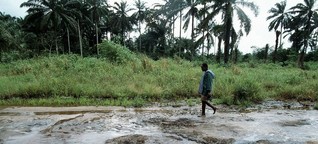 Ölverschmutzung im Niger-Delta: Shell muss zahlen