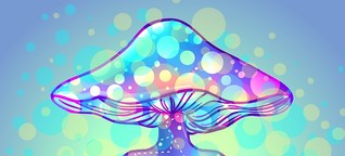 Generator Podcast: Magic Mushrooms als Arznei? Warum Halluzinogene in der deutschen Medizin wieder ernst genommen werden | BR.de