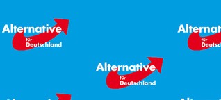 Das Wahlprogramm der AfD 2021 für die Landtagswahl in Baden-Württemberg