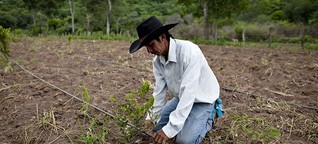 ¿Un desarrollo sostenible para los campesinos de Santa Cruz? | DW | 04.10.2019
