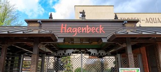 Tierpark Hagenbeck: Mitglieder treten aus Betriebsrat zurück