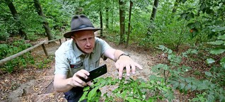 Youtube-Kanal über den Wald: Förster Klaus geht online