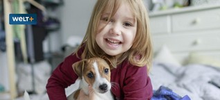 Hund, Katze, Hamster: Was Haustiere kosten - von Futter bis Tierarzt 