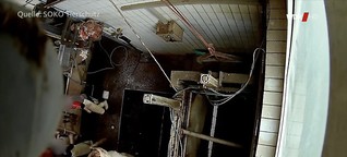 Westpol: Tierquälerei im Schlachthof – was wussten die Behörden?