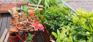 Nachhaltigkeit im Frühling: Balkon mit Wildpflanzen begrünen