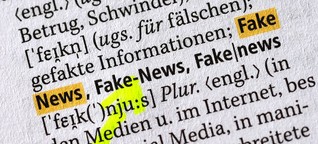 Fake News: In schwindel-erregender Gesellschaft, Gastbeitrag