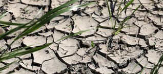 Heiße Sommer, kaum Regen: Kampf ums Wasser in Zeiten des Klimawandels