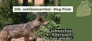 200. Jubiläumsartikel - Blog-Pirat: Jobwechsel Elternzeit! Schon wieder.