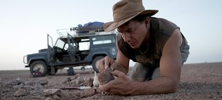 Paläontologe Paul Sereno im Gespräch: „Man stolpert quasi drüber" [1]