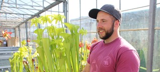 Herr der Fliegenkiller: Mathias Maier ist Gärtner für fleischfressende Pflanzen