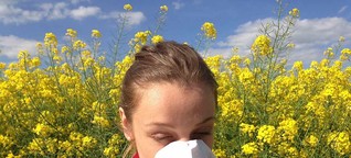 Pollensaison ist Allergie und Heuschnupfen Saison: Hilfe aus Apotheke, Hausapotheke und Natur