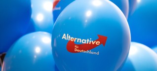 AfD in Rheinland-Pfalz: Nach rechts offen