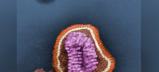 Grippe: Motorisierte Viren