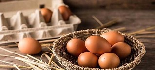 Organic Eggs production will double the income: Giriraj Singh
