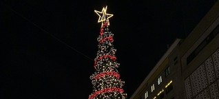 Mission im Ruhrgebiet: Der perfekte Weihnachtsbaum