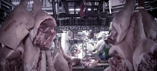 Bessere Arbeitsbedingungen in der Fleischbranche?