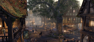 The Elder Scrolls Online: Blackwood angespielt