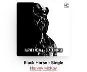 One Track or Album per Week, Number 5: Harvey McKay - Black Horse.