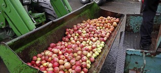 Tonnenweise Äpfel
