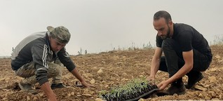 Libanon: Landwirtschaft bringt neue Hoffnung