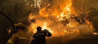 Feuer, Dürren, Temperaturrekorde: Wo Hitze und Brände Leben fordern