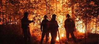 In Russland brennen Millionen Hektar Wald