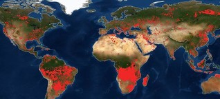 Waldbrände: Nasa-Satellitenkarte zeigt Feuer auf der ganzen Welt