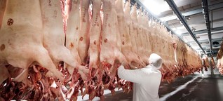 Europe's meat industry is a coronavirus hot spot | DW | 26.06.2020