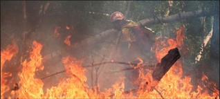 Russland: Waldbrände im Osten, Überschwemmungen im Süden