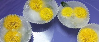 Muttertags-Überraschungen: 
Eisblüten und Eiswürfel zur Deko 